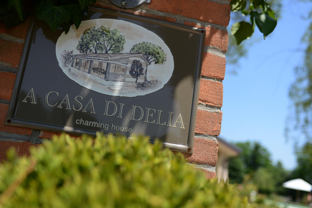 A Casa Di Delia B&B Charming House Sant'Elena di Silea Exteriör bild